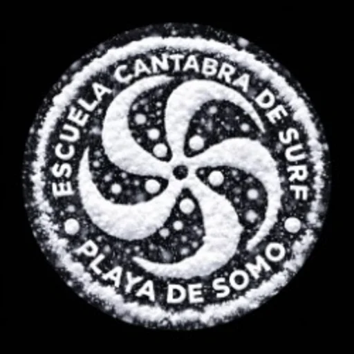 EscuelaCantabraDeSurf.com